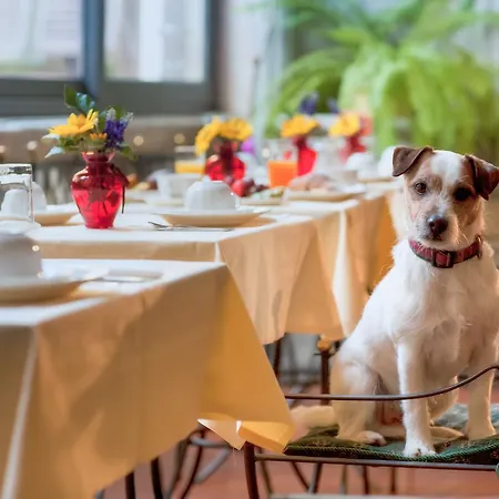 Torre Guelfa Palazzo Acciaiuoli 4* Florence