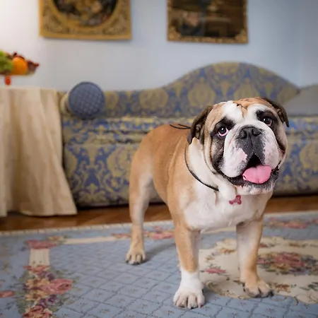 Torre Guelfa Palazzo Acciaiuoli Florence