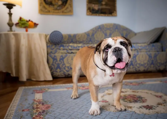 Torre Guelfa Palazzo Acciaiuoli Florence